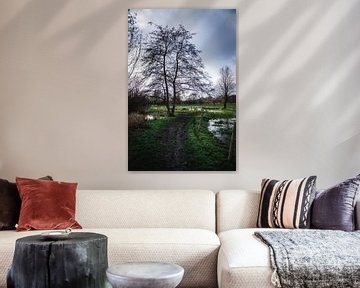 Fußweg durch den Common Meadow Brook von Mister Moret