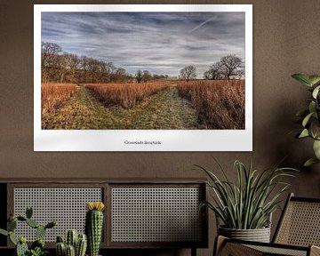 Poster Tweesprong Baneheide van John Kreukniet