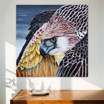 Comportement autoritaire d'un aigle