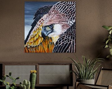 Bossy behavior of an eagle van Floris Betrouw