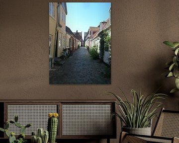 straatje in pittoresk Ribe Denemarken van tiny brok