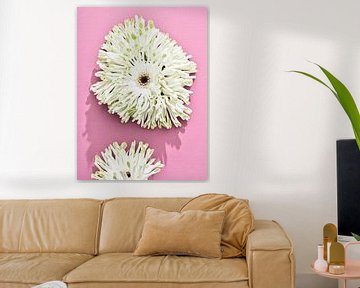 Flowers on pink I Stack Gerbera's by Martijn Hoogendoorn