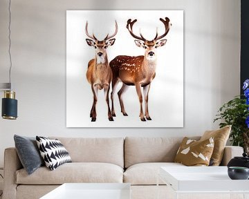 Portrait de deux cerfs sur fond blanc sur Vlindertuin Art