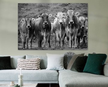 Koeienvergadering (zwartwit) van Sean Vos