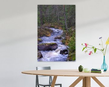 Fließendes Wasser in Schweden von Geertjan Plooijer