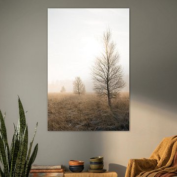 Duurswouder Heide im Winter bei Sonnenaufgang - Ein Triptychon