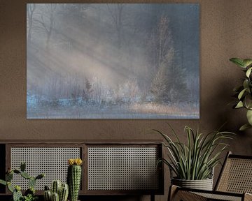 Zonnestralen in de winter op de Slotplaats, Friesland van Fenna Duin-Huizing