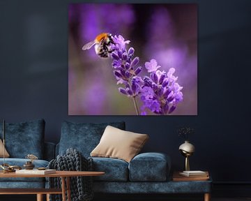 Der Lavendel und die Biene. von Robby's fotografie