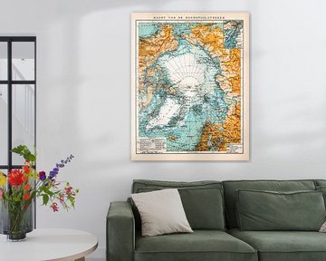 Noordpool en streken. Vintage kaart ca. 1900 van Studio Wunderkammer