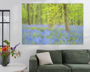 Blauwbloembos van Rolf Schnepp