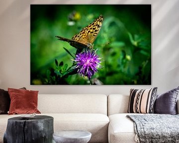 Pretty fritillary on a thistle by Robbert De Reus