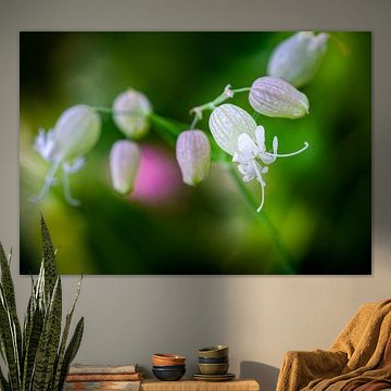 Like bells from a natural chime by Robbert De Reus