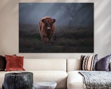Schotse hooglander kalf | moody | scottish highland cattle | portrait van Laura Dijkslag