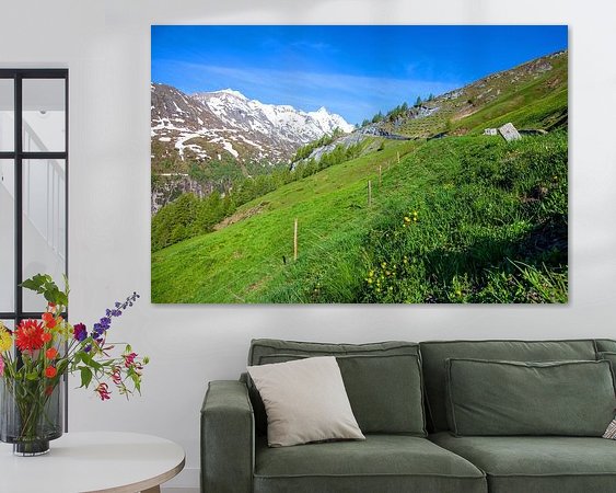 Aperçu de la chambre