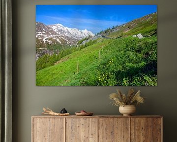 Le printemps dans la région du Glockner sur Christa Kramer