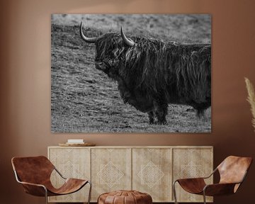 Male Scottish Highlander by Stephan Scheffer