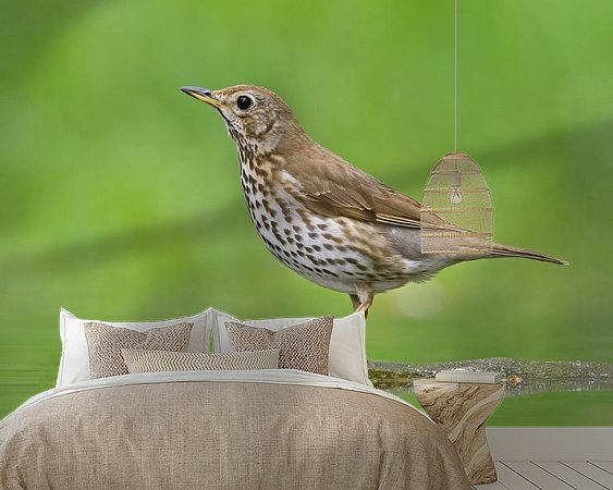 Voorbeeld van het werk in een kamer