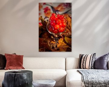 Paquet de tomates douces sur Rob Boon