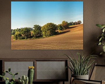 Landschap met veld en bomen bij Hohen Demzin van Rico Ködder