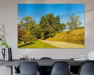 Landschap met pad en bomen nabij Hohen Demzin