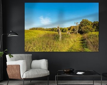 Paysage avec chemin et arbres près de Hohen Demzin sur Rico Ködder