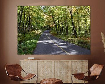A country road crosses a maple forest by Claude Laprise