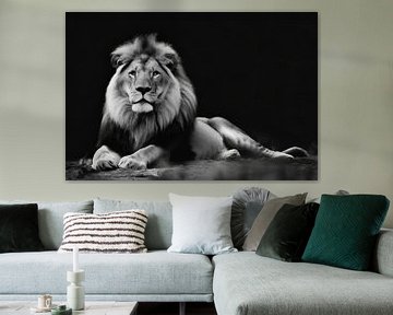 Majestic lion by Uwe Merkel