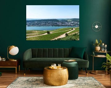 Weinberge bei Rüdesheim und Blick auf Bingen am Rhein von Wim Stolwerk