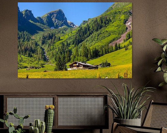 Aperçu de la chambre