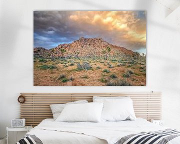 Joshua Tree National Park - Dramatische zonsondergang van Joseph S Giacalone Photography