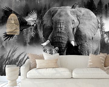Jungle elephant,tiger,parrot,kingfisher