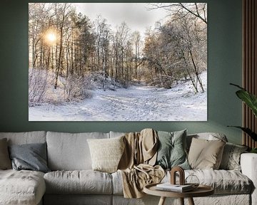 Winterwetter in den Niederlanden von Mark Bolijn