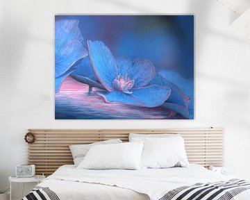 Hydrangea blossom 5