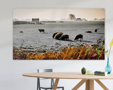 Landschap met schapen, Tzum, Nederland. van Jaap Bosma Fotografie