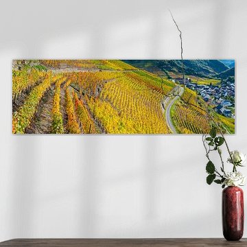 Vineyards in autumn, Ahr valley
