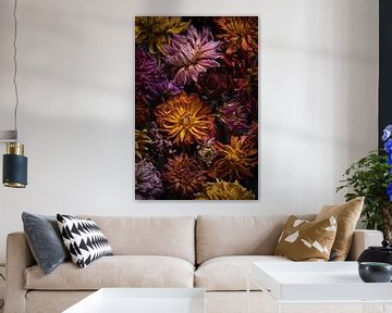 Painting of dried dahlias's by Karel Ham