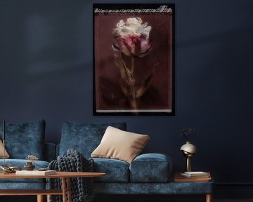 Polaroid of dreamy tulip by Karel Ham
