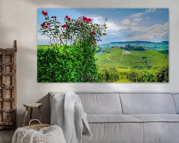 Vue de Castiglione Falletto, Piémont, Italie. sur Jaap Bosma Fotografie