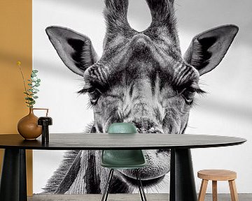 Giraffe by Richard Guijt Photography