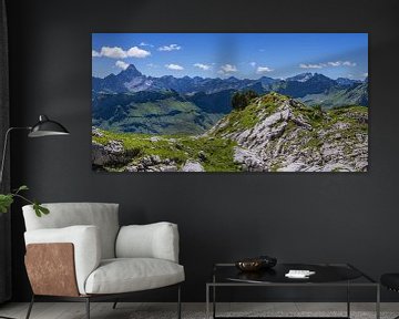 Alpenrosenblüte (Rhododendron), Koblat am Nebelhorn, dahinter der Hochvogel, 2592m, Allgäuer Alpen von Walter G. Allgöwer