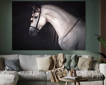 Portrait of a Spanish stallion | Horse Photography by Laura Dijkslag