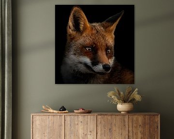 Portrait of a fox by Gianni Argese