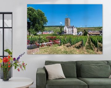 Winery and vineyard near Rüdesheim am Rhein by Wim Stolwerk
