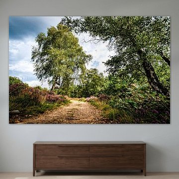 The road through the summer heath.