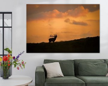 Burning red deer at sunset by Larissa Rand