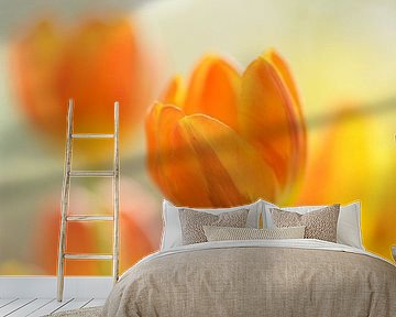 Yellow-orange tulips von Gonnie van de Schans