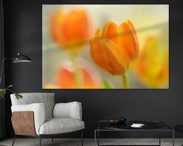 Yellow-orange tulips von Gonnie van de Schans