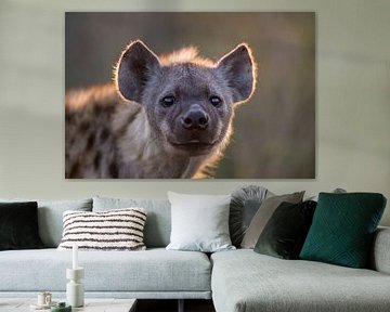 Portrait d'une hyène à l'heure dorée sur Larissa Rand