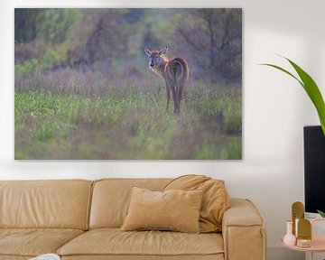 Waterbok in het landschap van Larissa Rand