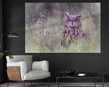 Hibou sur Larissa Rand